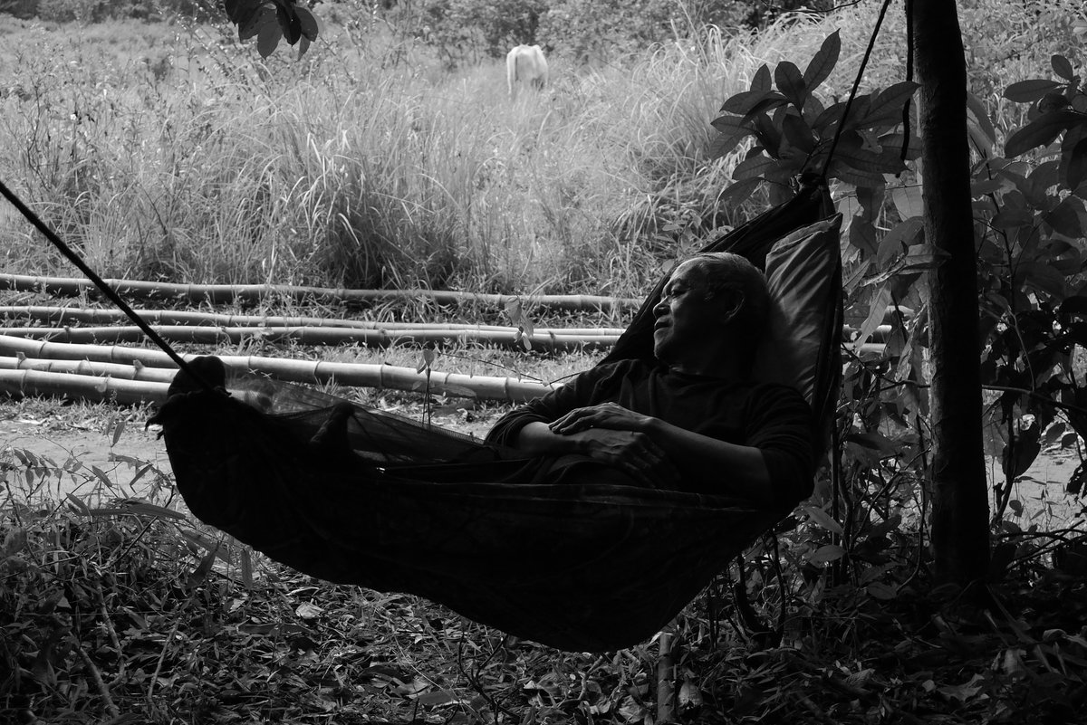 armanddc's tweet photo. GENUS PAN (2020, dir. Lav Diaz) – Very good expansion on the 2018 portmanteau film, Lakbyan. Filled in a lot of the narrative gaps from the abridged version. The (shockingly) longer cut of 157 mins offers Lav's patient filmmaking in new light. #QCinemaOnUPSTREAM https://t.co/cE6snhrI2f