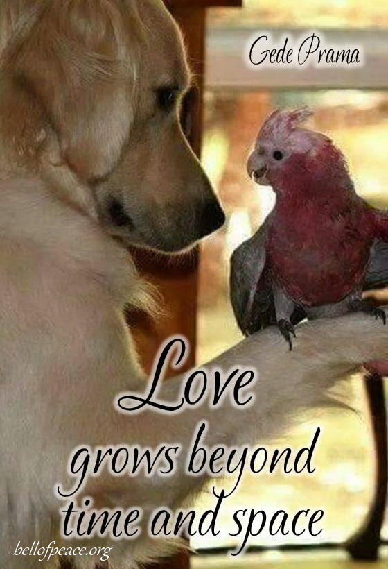 Love grows... #Peace #gedeprama #bali #beauty #happy #healthy #holy #innerharmony #JoyTrain
Photo courtesy: Pinterest https://t.co/t4j17G0Y75