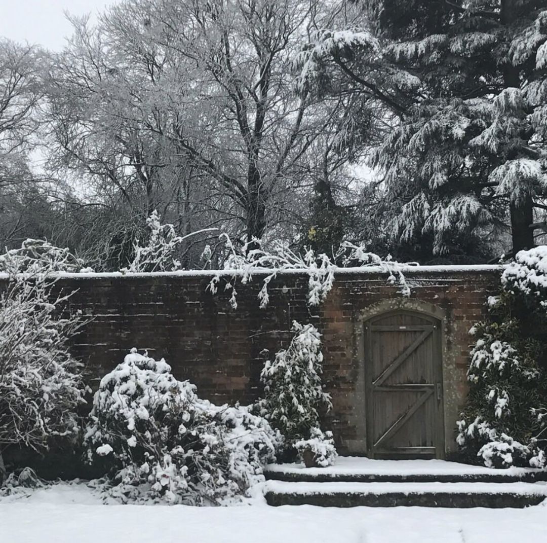 What's behind the door? 👀 #ASecretGarden

Snowy days are coming! Let us know about your travel plans for 2021. ☃️
instagram.com/discerningfood…