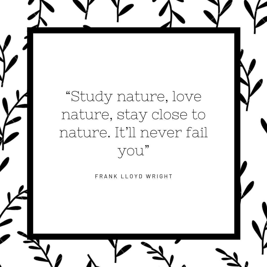 Stop and smell the roses. 

#livelife#travel#digitalnomads#coworkation#worklifebalance