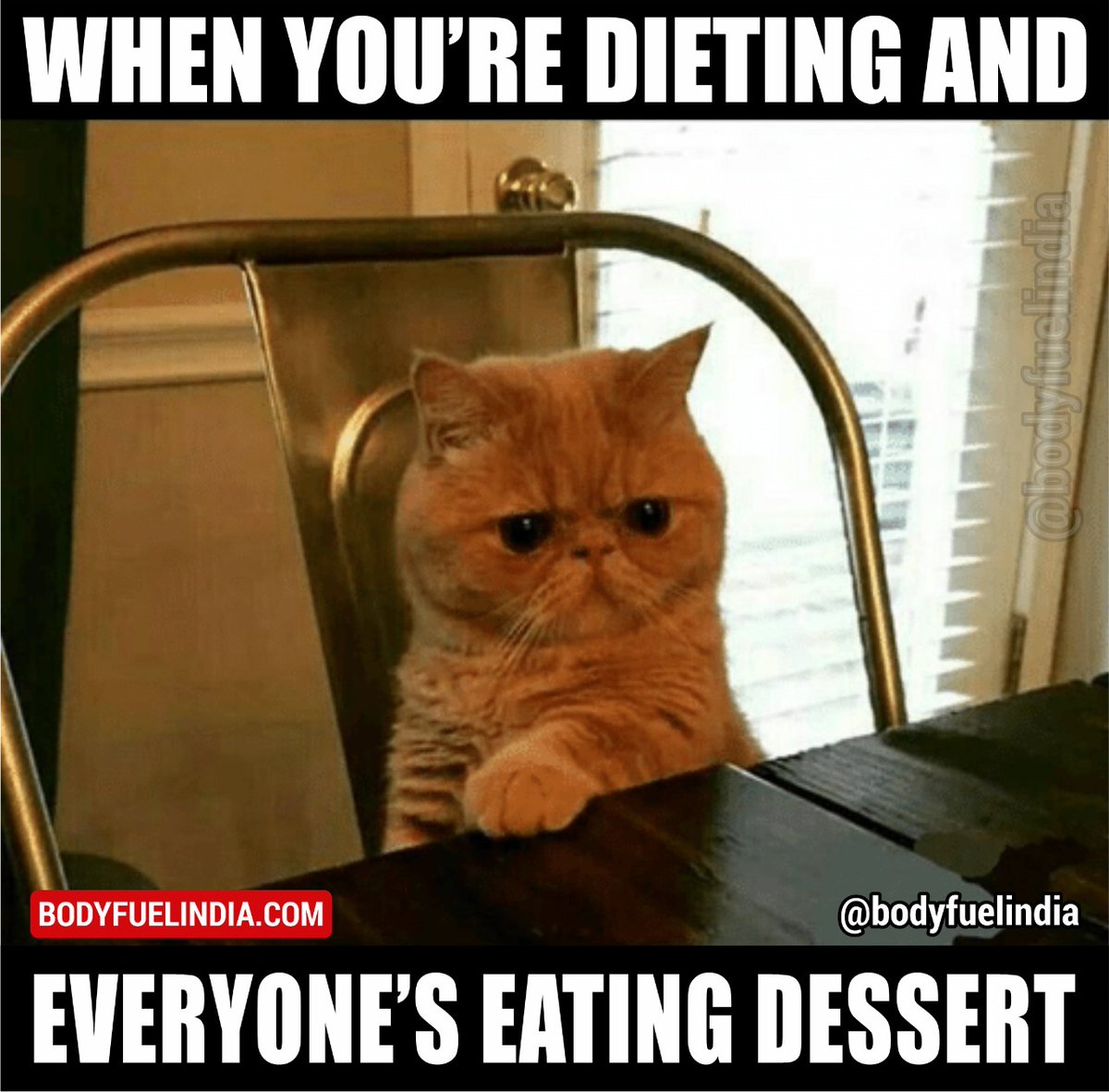 ⛽ https://t.co/NRT7aVgqyz ⛽ India’s No.1 Genuine Supplement Store
#bodyfuelindia #saturday #authenticornothing #cheatday #boycottfake #orderonline #corona #fitnessmotivation #supplement #deadlift #gym #meme #motivation #fitnessmemes #workoutmemes #tips #pro @bodyfuelindia https://t.co/OVQMng9cGB
