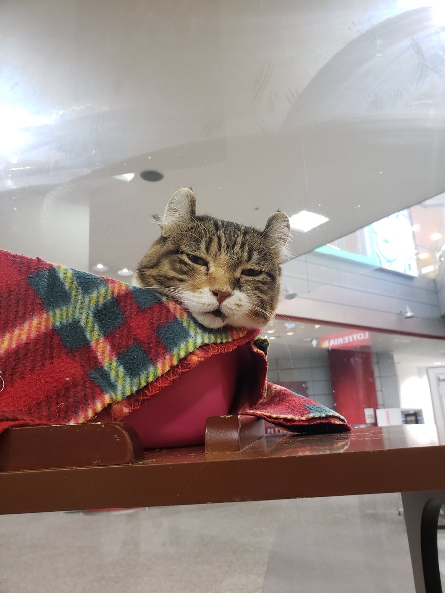 みんなの「ファクトリー」 口コミ・評判（20ページ目）｜食べたい 