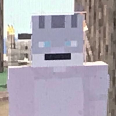 Rodger678's tweet photo. @MagdaShadowRose previously known as our math teacher! Makes some cool sky builds and good in combat https://t.co/okCWy4ES0N