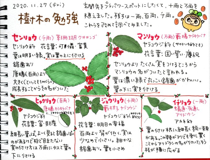 樹木勉強のtwitterイラスト検索結果 樹木勉強のtwitterイラスト検索結果