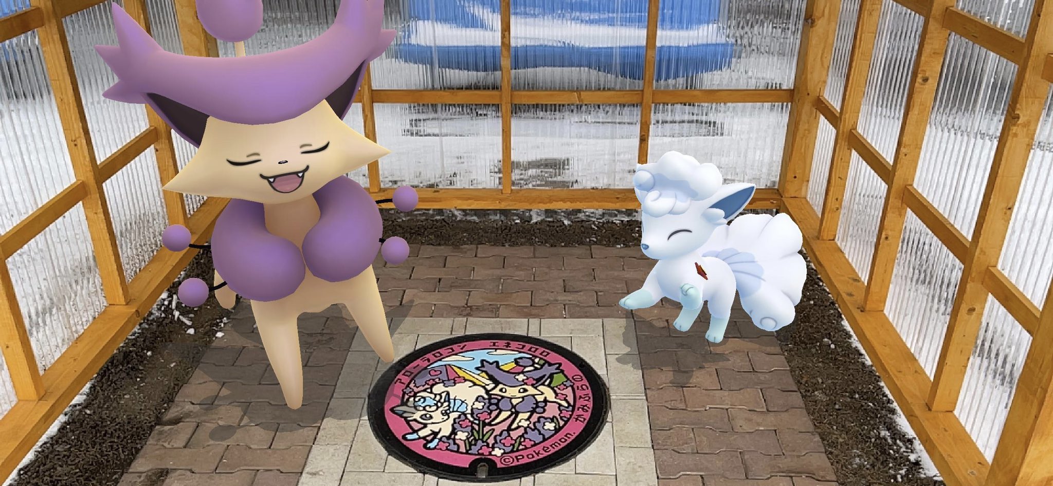 Uzivatel チロ Na Twitteru ロコン X エネコロロ ポケモンgo Pokemongo Arplus Pokemongoar Gosnapshot Pokemongobuddy ロコン エネコロロ 北海道だいすき発見隊 ポケふた 上富良野町 11枚目 ポケふたの旅 T Co Xfvnpfxyxj Twitter
