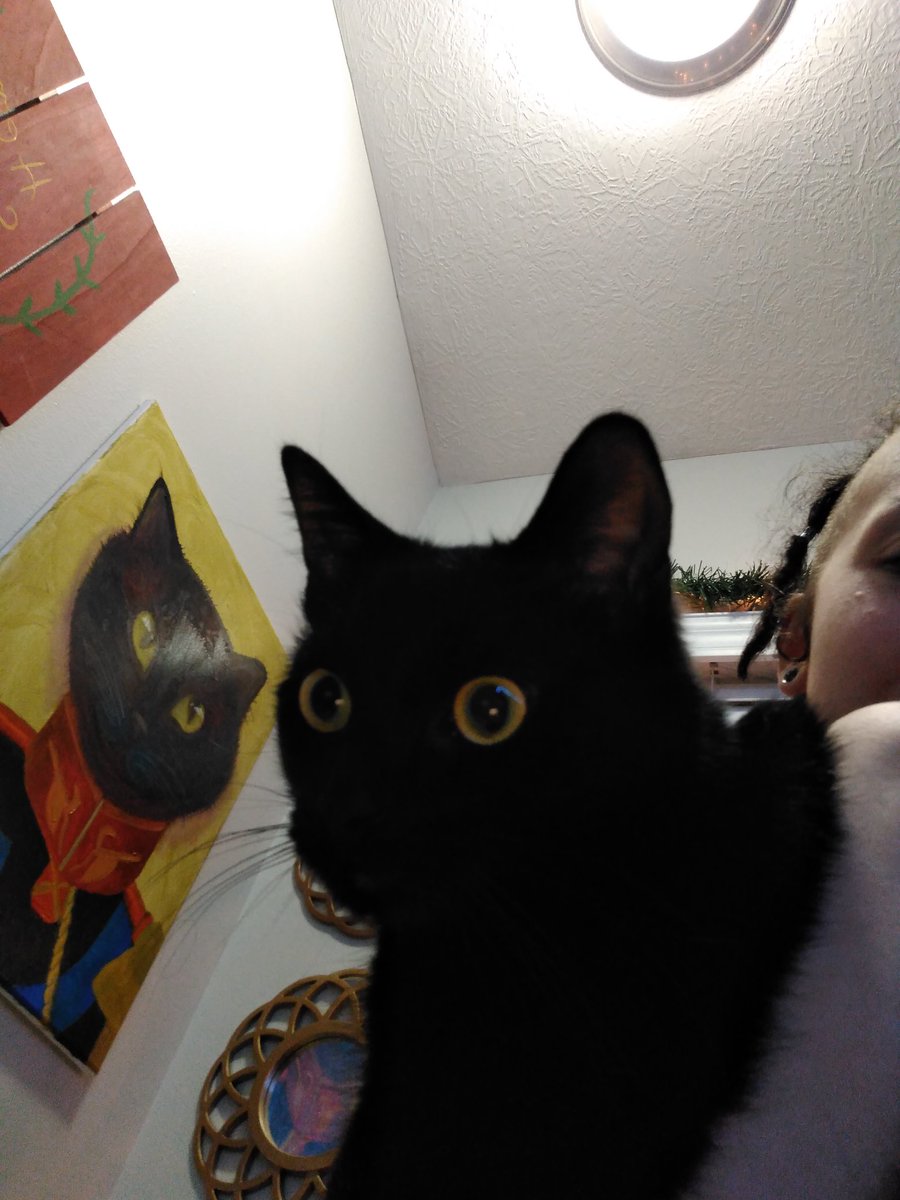 MsCadaverous666's tweet photo. I painted my cat as a renaissance painting lol https://t.co/1RTfrXDPRO