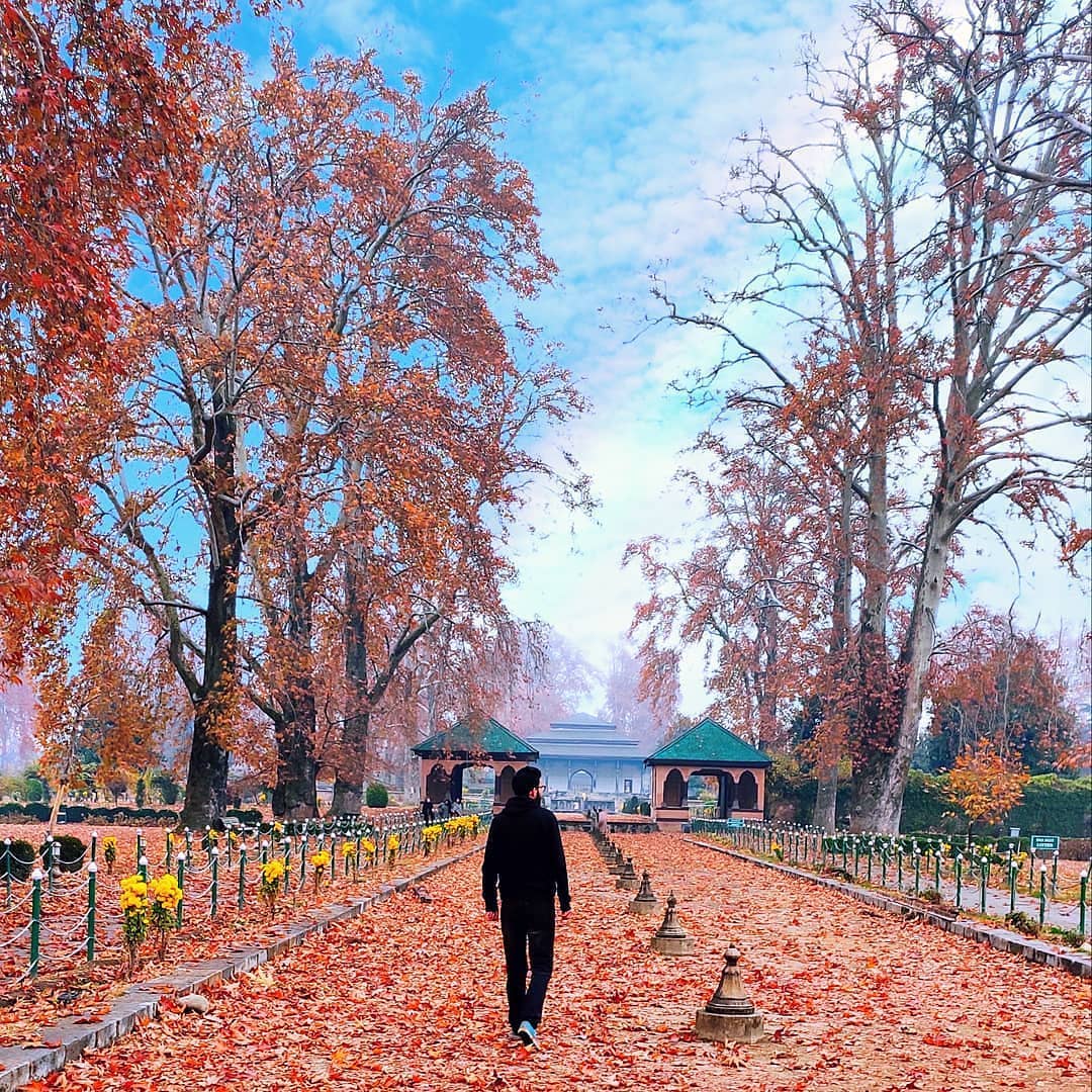 truehab's tweet photo. A beautiful view of Shalimar Bagh

Kashmir is open for tourists

When are you visiting !

#truehab #incredibleindia #travelindia 
#kashmir #mughalarchitecture #srinagar

📷 @ehsaan_khaleeq https://t.co/6mOiMGPA6s