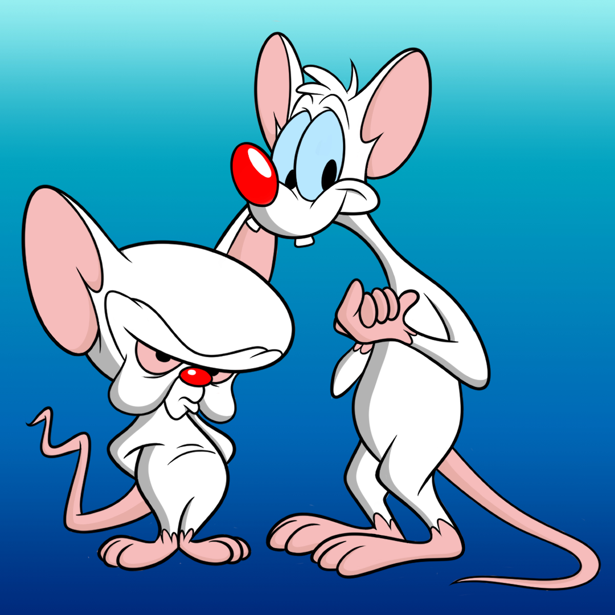 𝙗𝙤𝙤𝙥𝙢𝙖𝙣𝙞𝙖 ブープマニア Pinky Brain 今日の お絵描きは 遺伝子操作された2匹の実験用 ネズミ ピンキーアンドブレイン で す ポイット 最近リブート版の アニメがアメリカのhuluで始まりましたね Pinkyandbrain