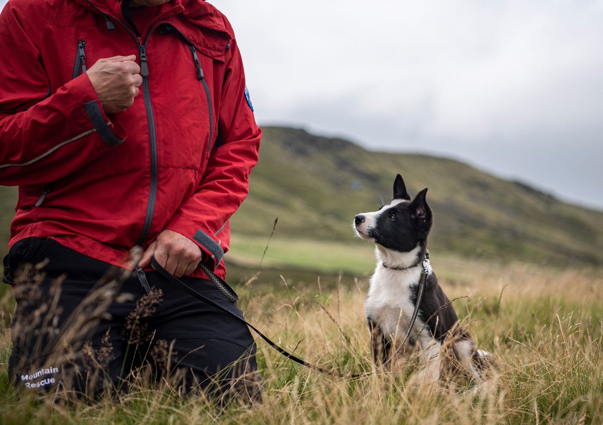 CalderValleySRT's tweet photo. #NEWTRAINEE
Calder Valley Search and Rescue Team have a new trainee, and perhaps the cutest one yet!
Please welcome Spot who joins his handler, Simon Adams, on the team as he begins the long journey to become an operational search dog.
Full story - https://t.co/jNUXja5byP https://t.co/1WErF4h83V