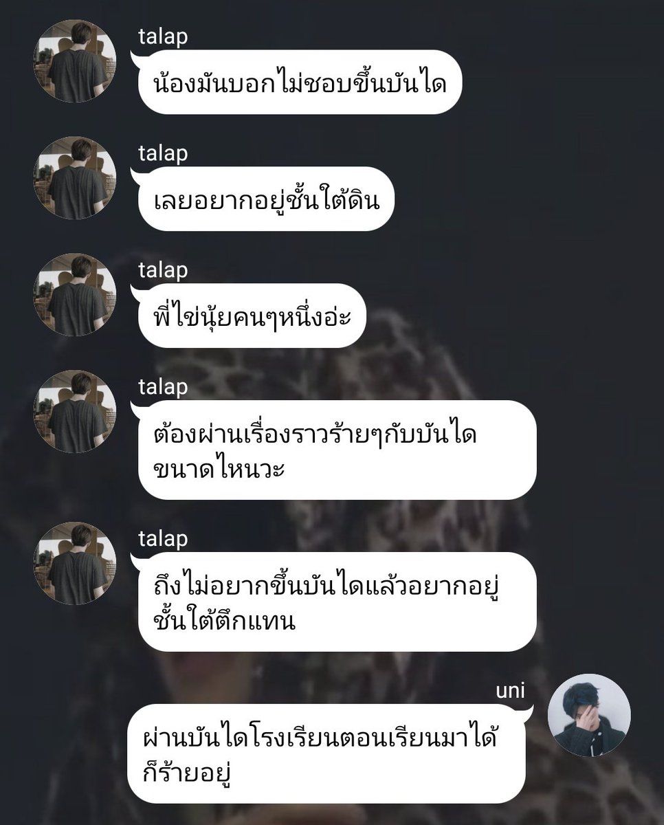 แลคโตเย่น tweet media