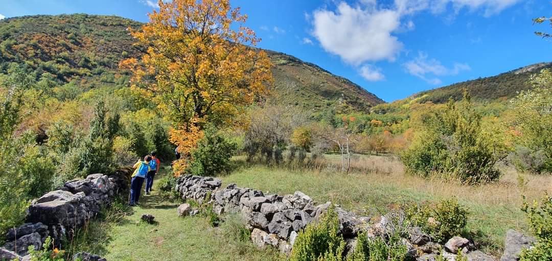 #puntopirineos 
⛰  🌿 👣 🍁 🤸‍♂️ 🚗
Somos la mejor forma de conocer los #pirineos
Descubre los maravilllosos rincones y miradores, la naturaleza, la vida rural y la tranquilidad y todo el patrimonio que nos rodea.
<a href="/aragonturismo/">Turismo de Aragón</a> <a href="/AltaRibagorca/">Turisme Alta Ribagorça</a> <a href="/ribagorzaturism/">turismo ribagorza</a> <a href="/Huesca_LaMagia/">Huesca La Magia</a>