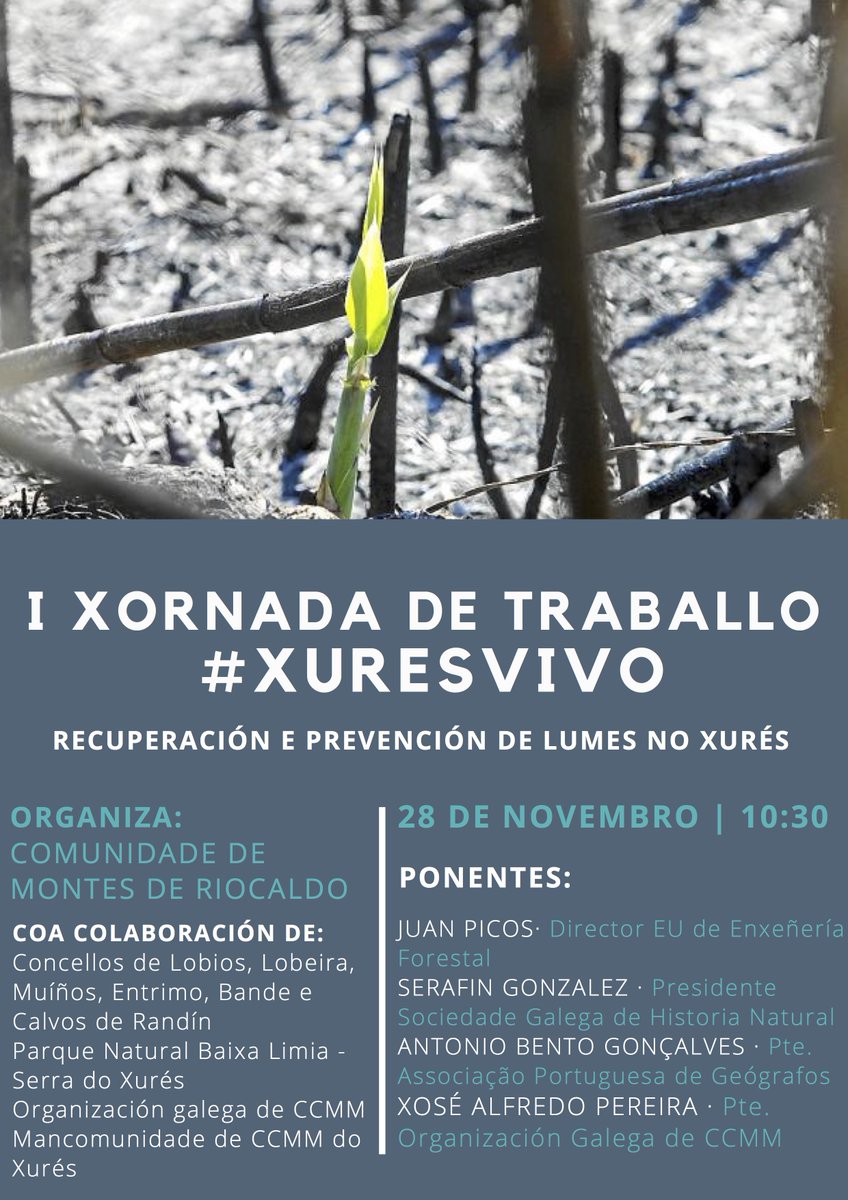 RXures's tweet photo. Xurés::Plan de acción a curto e medio prazo, que  axude a recuperar o monte queimado, así como identificar accións de prevención que contribúan a evitar futuros incendios. Hoxe ás 10:30h Virtual https://t.co/HtQRc0ftLf