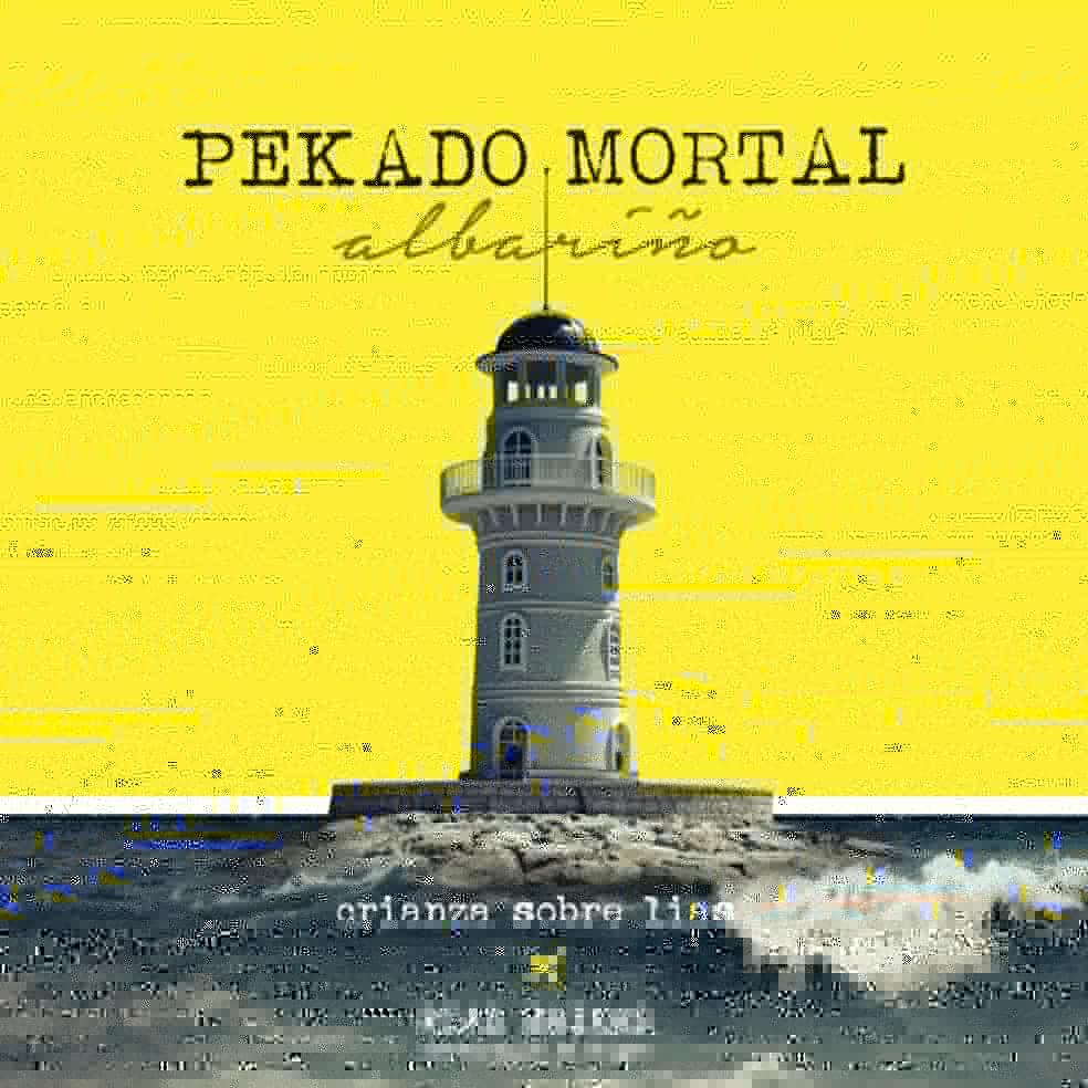 Para nosotros los deseos de nuestros clientes son órdenes, es por ello por lo que hemos incorporado un vino Albariño más en nuestra tienda online. Es un "Pekado Mortal".
#albariño #vinoalbariño #vinoriasbaixas #wine #winelovers
#vinoadomicilio #pescaderiaonline
#frescoydelmar