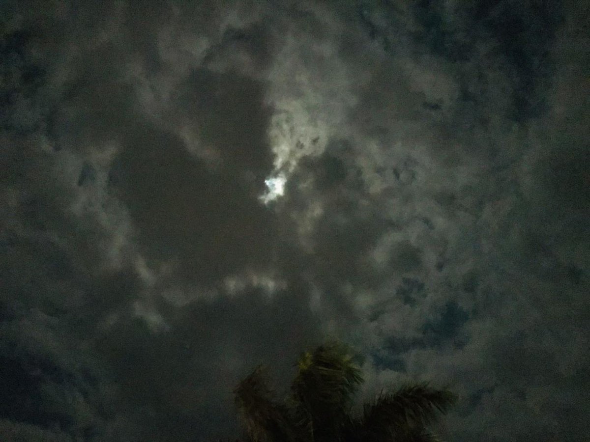 𝓢𝓪𝓶𝓲𝓽𝓪 🌵 (@lasenoracactus) on Twitter photo 