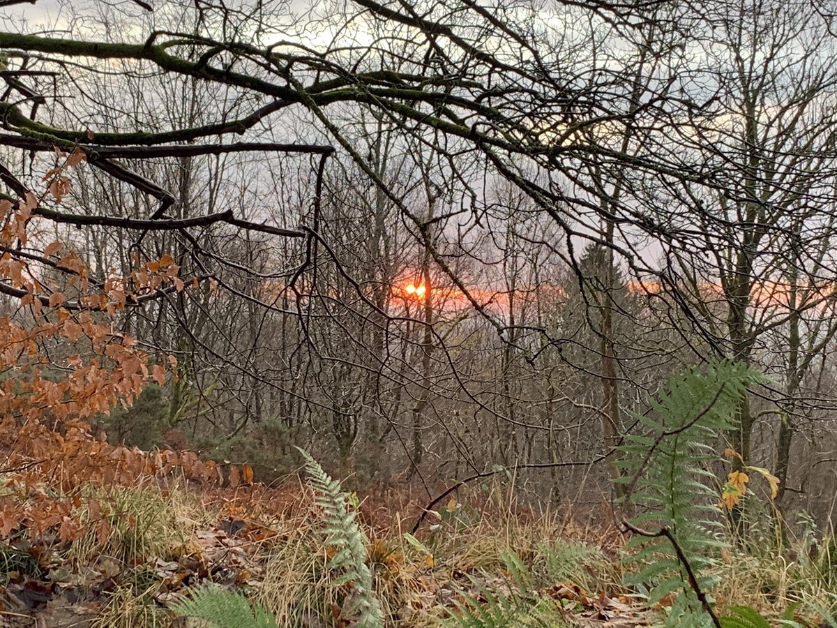 gjp2911's tweet image. Sunrise in the Trossachs #BBCLandward