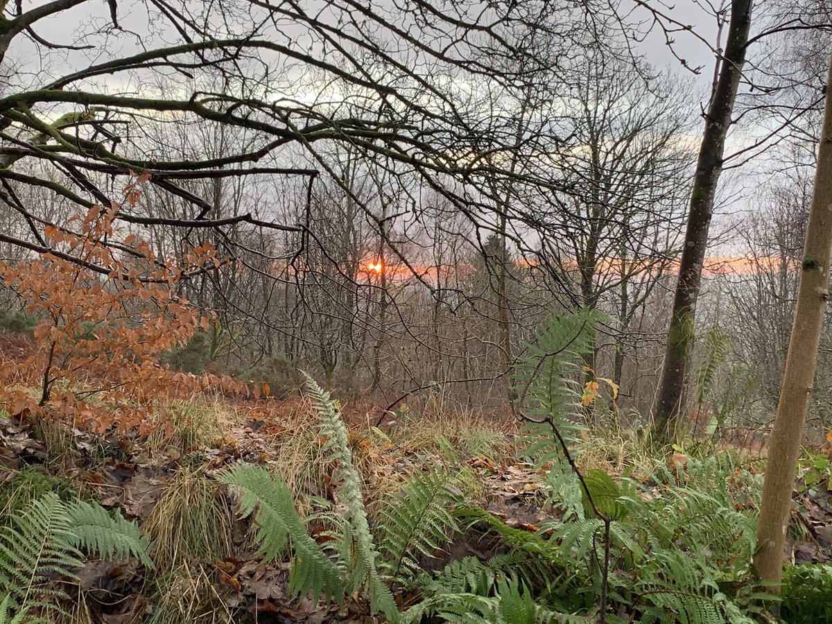 gjp2911's tweet image. Sunrise in the Trossachs #BBCLandward