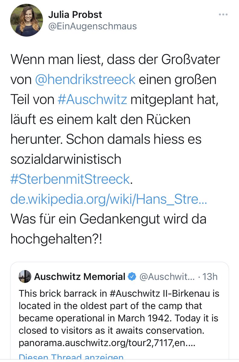 GrafvonBerg1's tweet image. Es sind oft die &quot;Guten&quot; die den Holocaust relativieren, und sich wie Rotz am Ärmel aufführen. #JuliaProbst  ist eine davon. @Die_Gruenen