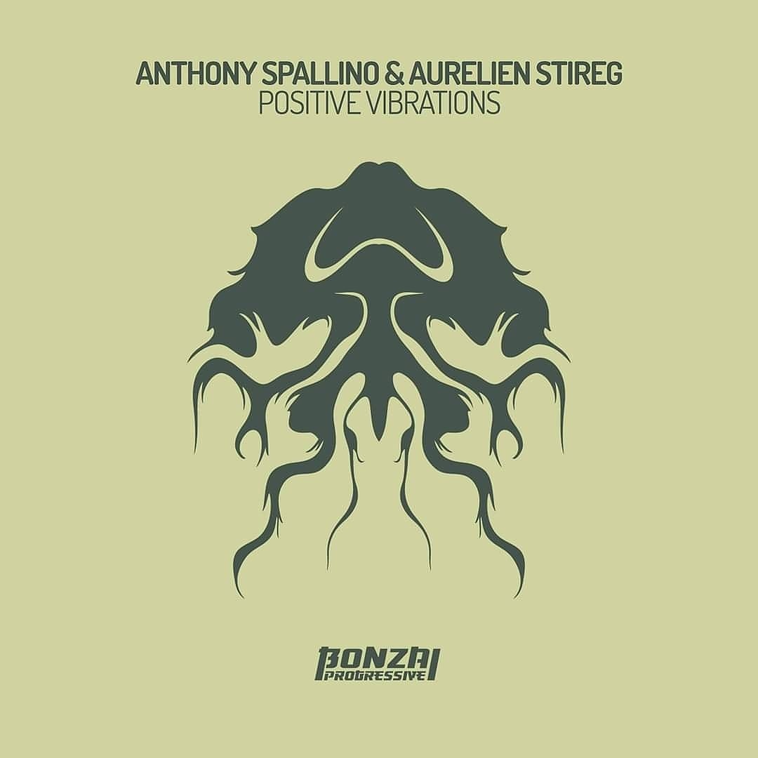 aurelienstireg's tweet photo. Out now, Anthony Spallino & Aurelien stireg - Positive Vibrations with Remix by Night Shift Master ,F-Act on Bonzai Music
Available on all platforms
https://t.co/DlbRR6dJtu
#progressive #progressivehouse #techno #melodictech #undeground #housefeeling #wearebonzai https://t.co/2vt0ut2ucL