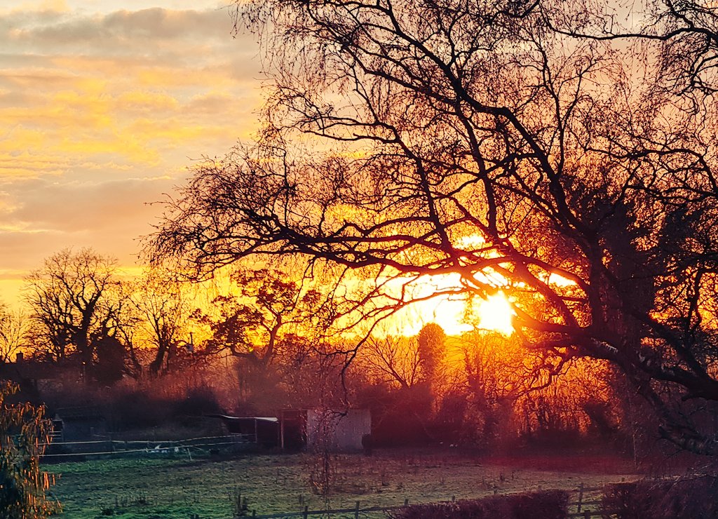 ShadowEerie's tweet image. Happy Saturday!  Here's last night's sunset at the back of my house.  Its returned to rain today, so don't know if I'll get out for a walk today.  #sunset