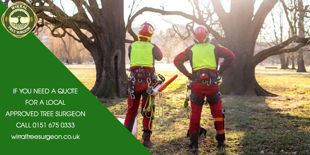 Wirral Tree Surgeon tweet media