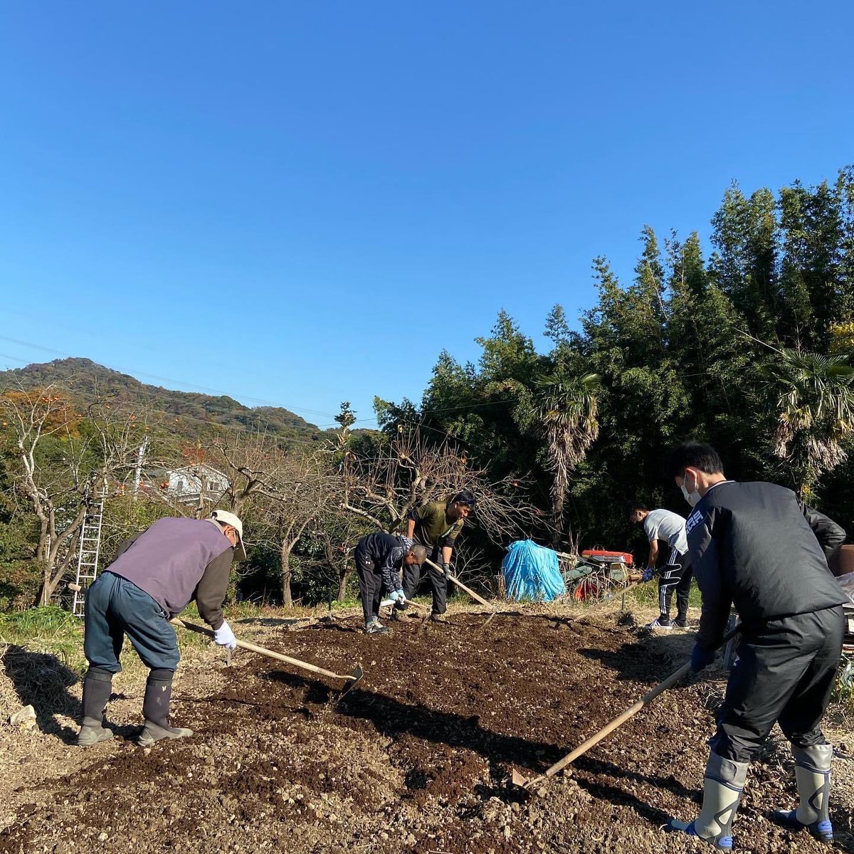 shumi_hatake's tweet photo. 週末には頼もしい仲間が
作業ははかどるし輪が広がって「はたけ」がさらに楽しくなる
ついに根っこ取りを終え馬糞堆肥を投入
早速頂いたネギの苗を植えてみた

#はたけ #横須賀 #葉山 #土づくり #しゅみはたけ
#cultivate
#community
#yokosuka #hayama
https://t.co/dvh4OfpODk https://t.co/kRO3IQf0Ql