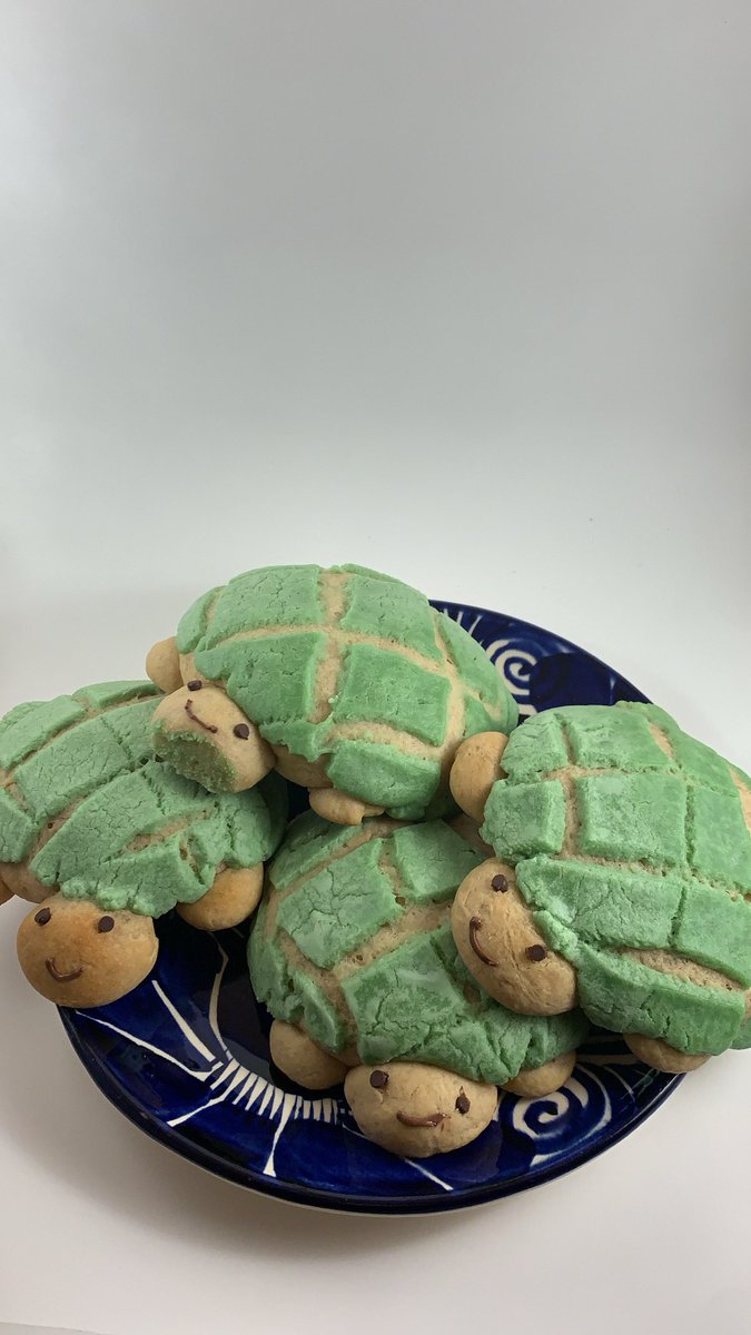 I just made turtle conchas that r a little fucked up but still cute <3