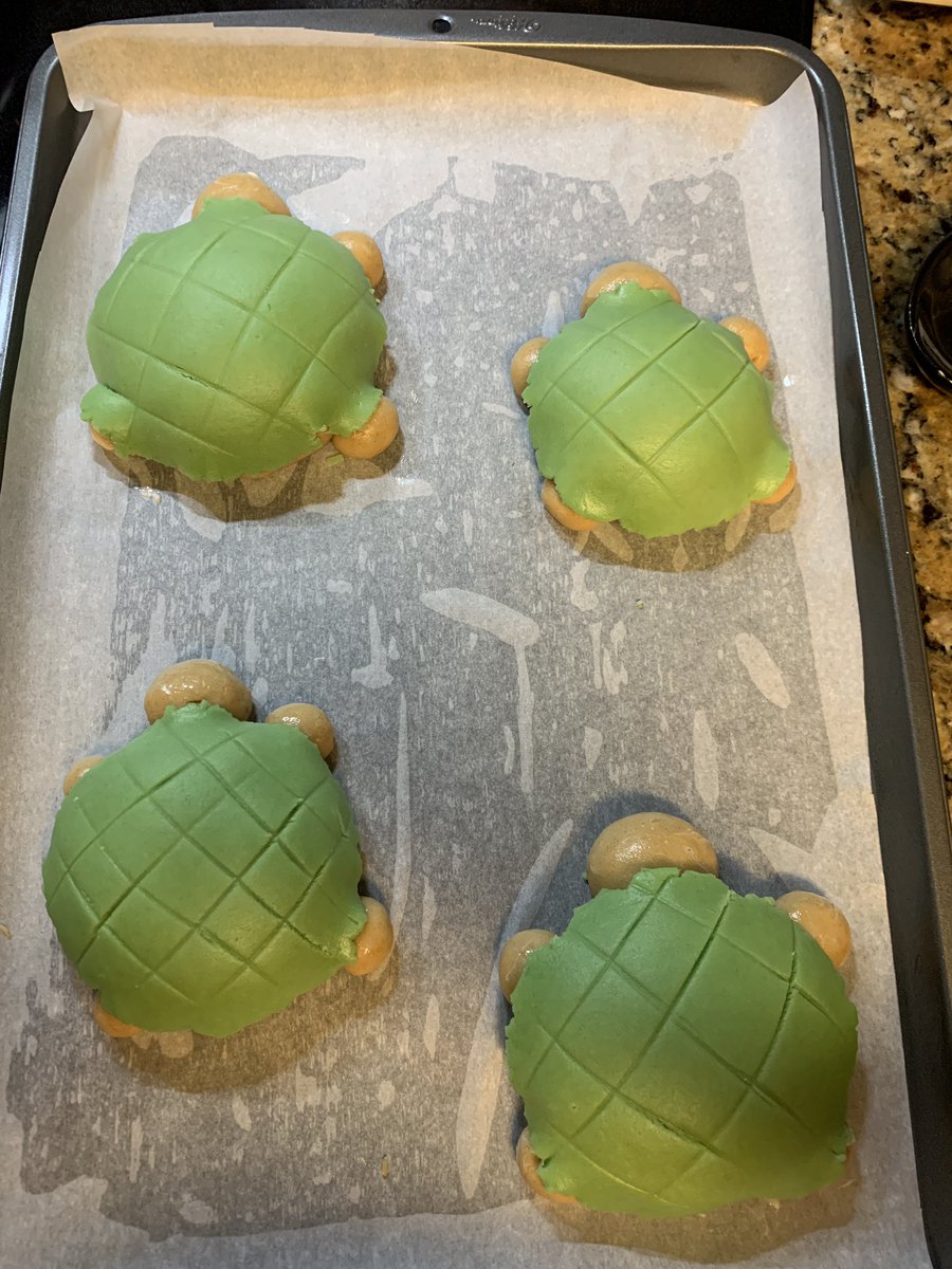 sailorcassy's tweet photo. I just made turtle conchas that r a little fucked up but still cute <3 https://t.co/fQxJyiDFKl