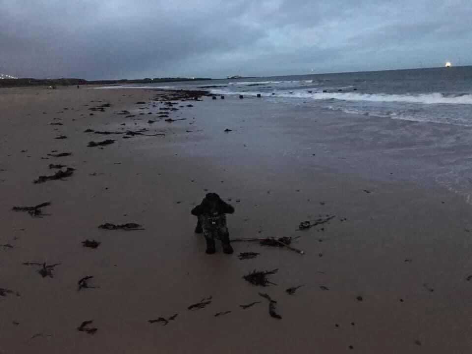 Naima Jackson tweet media