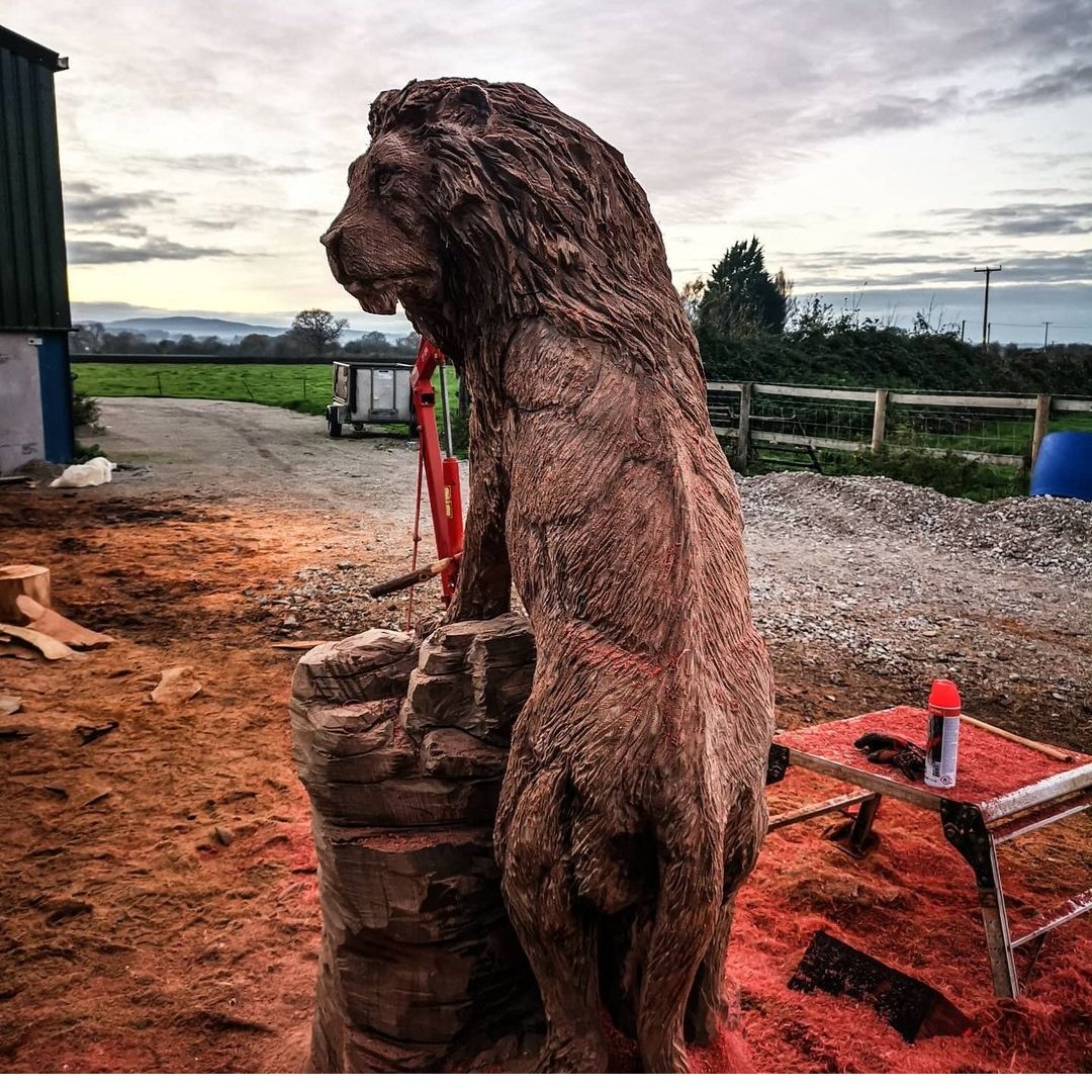 A very serious looking lion!

#chainsawcarving #chainsawart #Lions #lionsculpture #woodsculpture #kingofthejungle