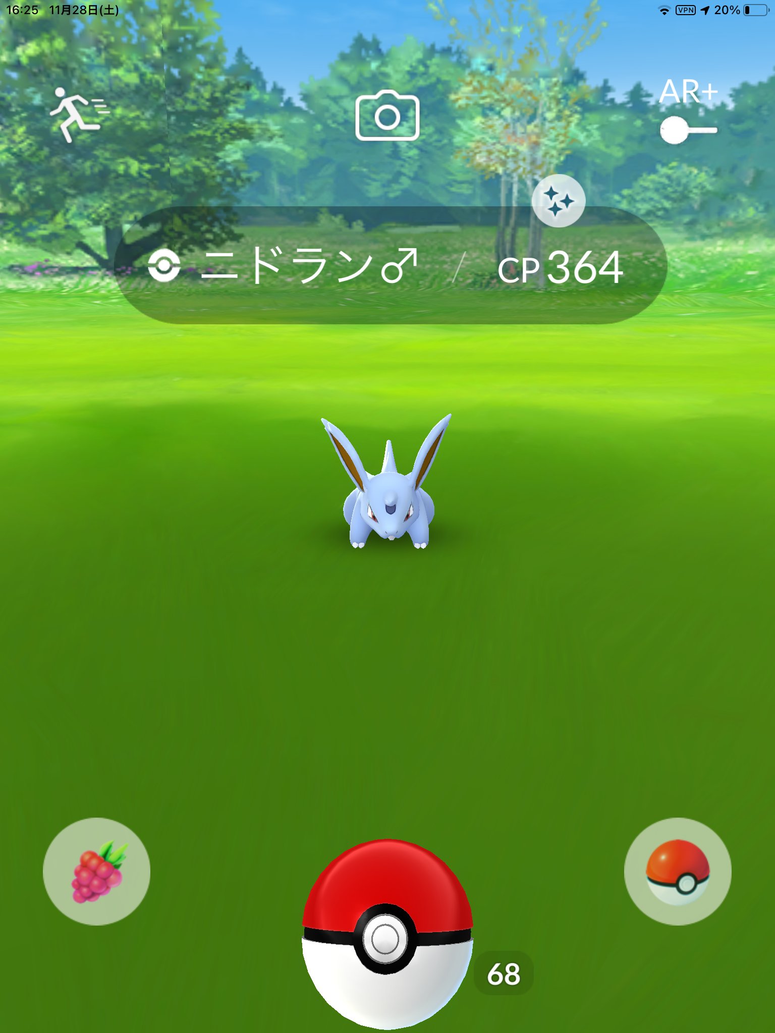 つかさ 色違いはニドラン しか出ませんでしたが出てくれただけで嬉しいです そしてそのままニドキングに進化させました ポケモンgo ニドラン色違い ニドキング