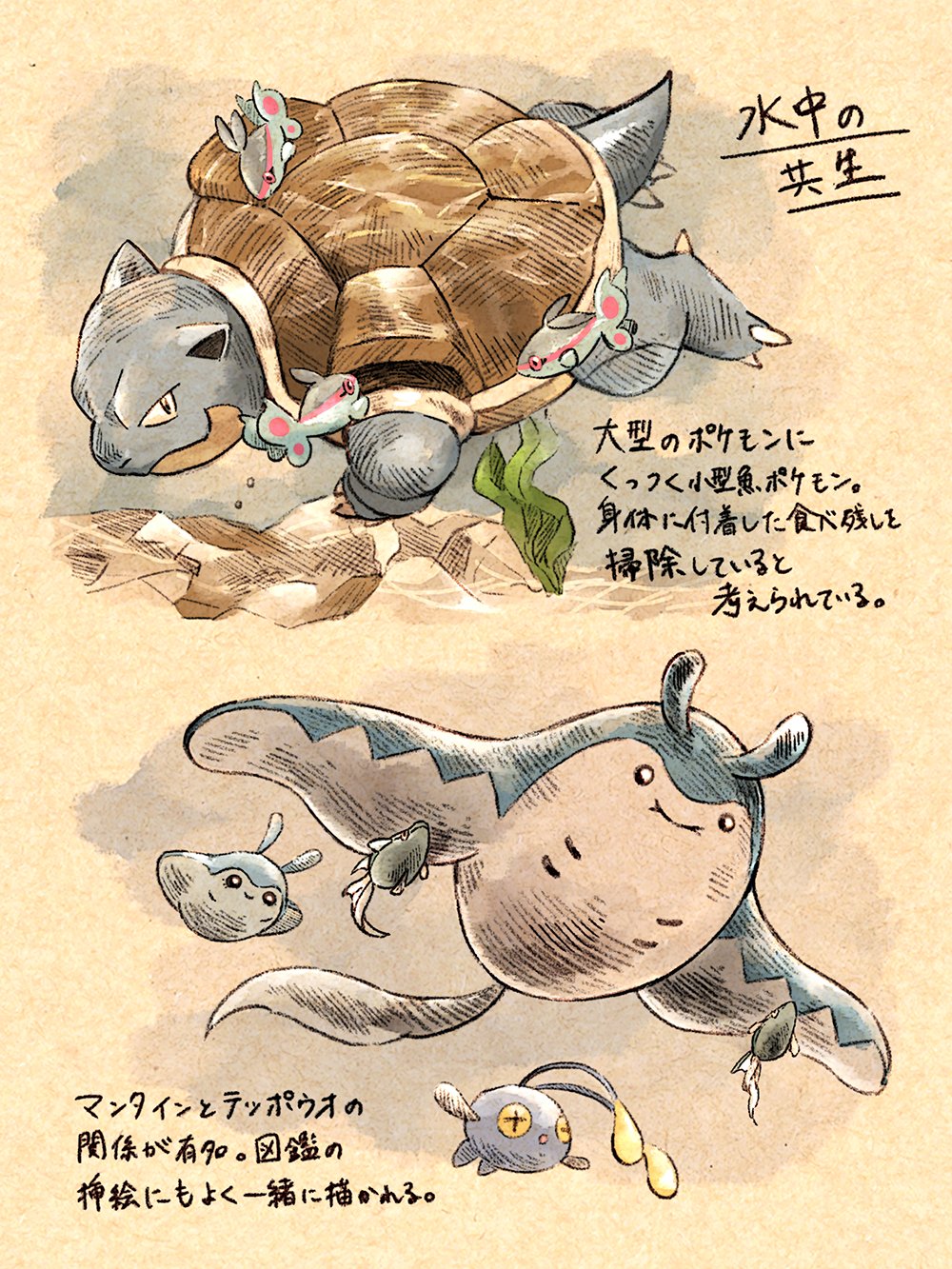茉莉 ポケモンたちの共生について 妄想メモ T Co Bio9tvqxnh Twitter 茉莉 ポケモンたちの共生について 妄想メモ T Co Bio9tvqxnh Twitter