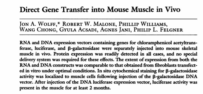 Η πρώτη επιτυχημένη χορήγηση mRNA σε πειραματόζωα δημοσιεύθηκε το 1990 στο περιοδικό Science. O Jon Wolff & συνεργάτες, που ενδιαφέρονταν για τις δυνατότητες γονιδιακής θεραπείας, έβαλαν mRNA στους μύες ποντικών και επιβεβαίωσαν την παραγωγή της σωστής πρωτεϊνης. 3/