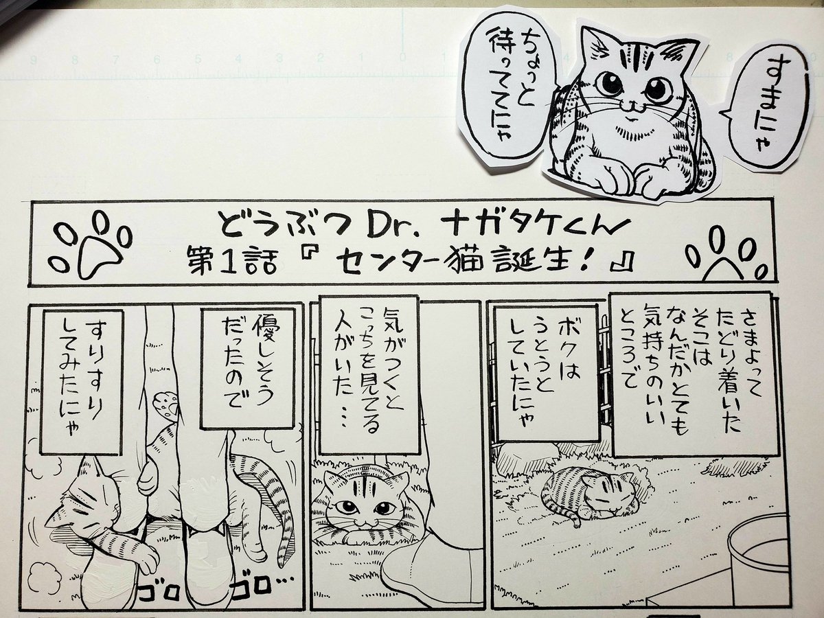 【お知らせ】
「どうぶつDr.ナガタケくん」担当の先生移動ため、引き継ぎ作業で更新が止まっております
再開しましたらまたお知らせいたしますので、その際はまたよろしくお願いいたします 