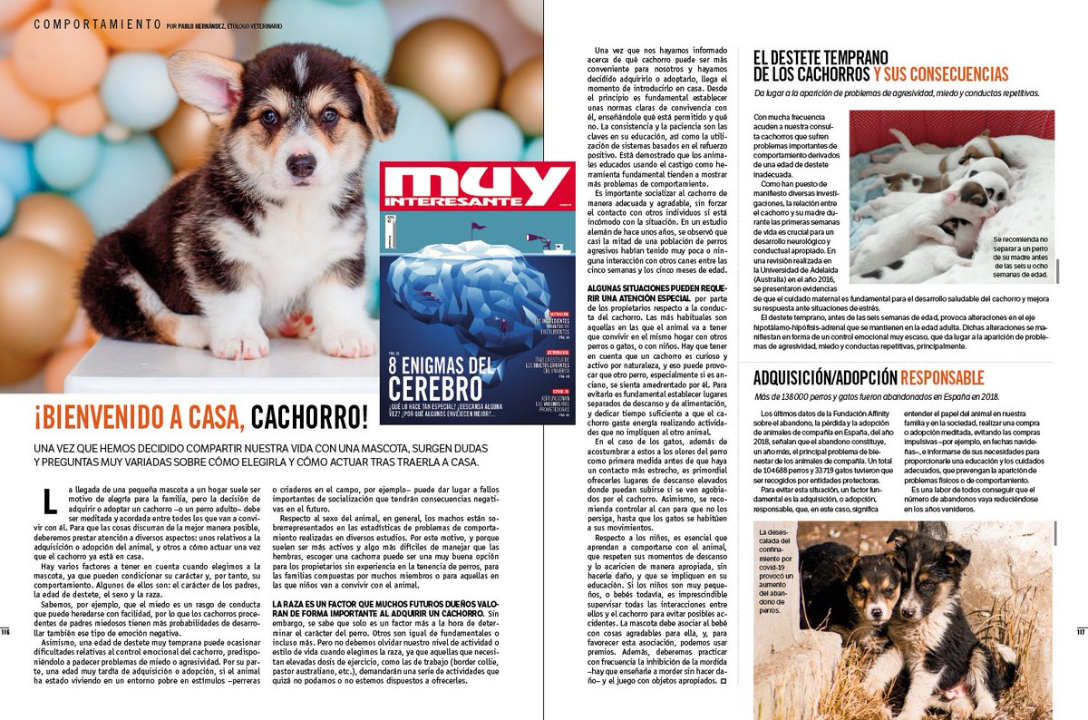 Una vez que hemos decidido compartir nuestra vida con un perro, surgen dudas y preguntas muy variadas sobre cómo elegirlo y cómo actuar tras traerlo a casa. Las respuestas, en el suplemento MASCOTAS de la revista 'Muy Interesante' de diciembre
