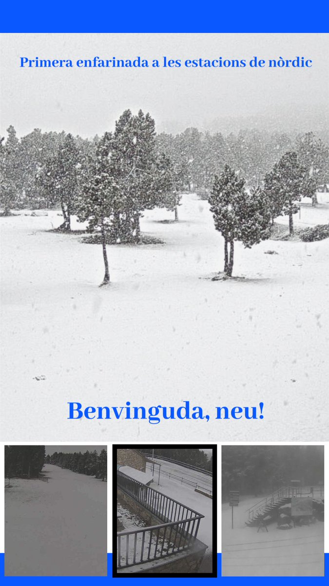 🌨 Com ens agrada veure les estacions de nòrdic de color blanc!