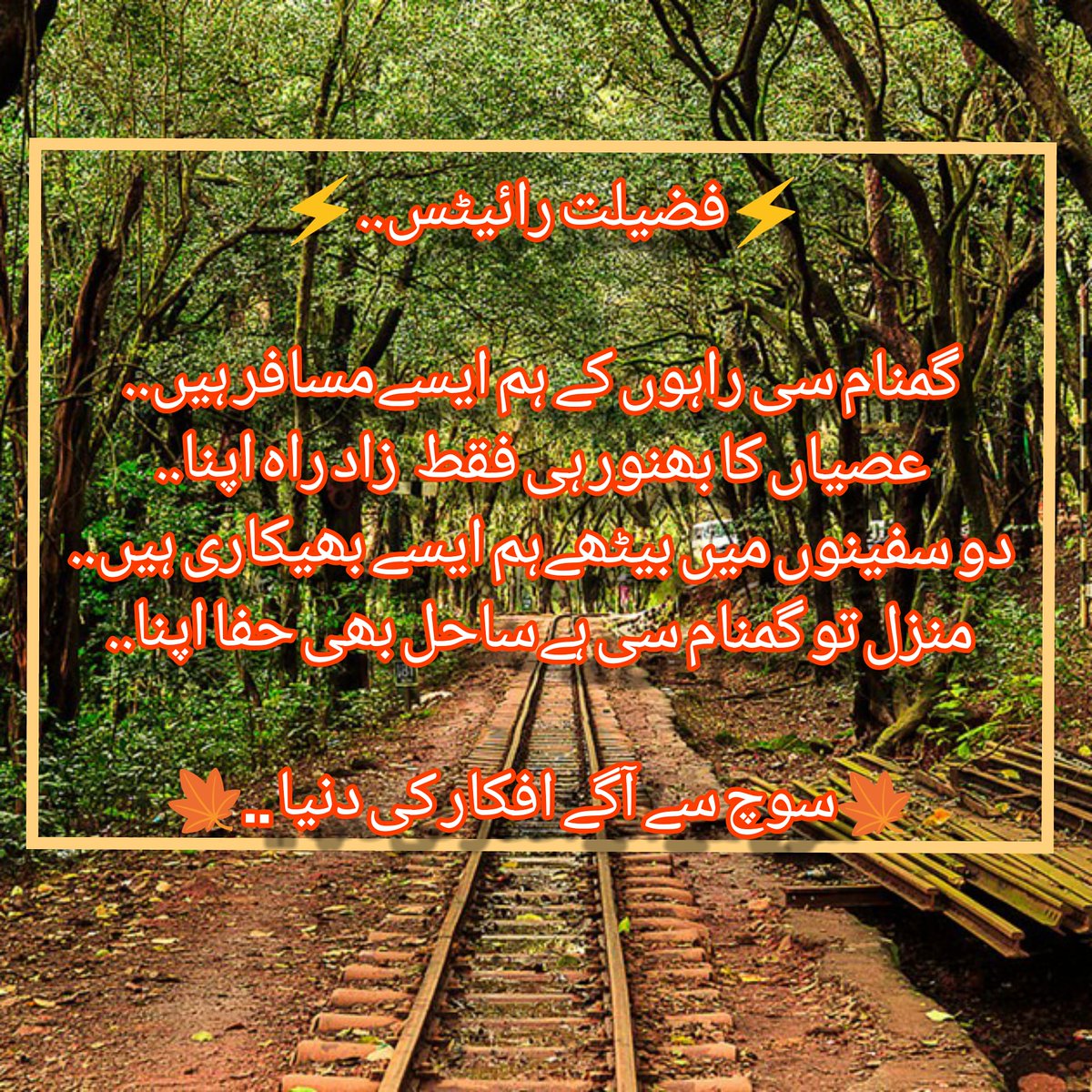 FazeelatSheikh's tweet photo. #pointOfView https://t.co/Yt1ctVuf8v