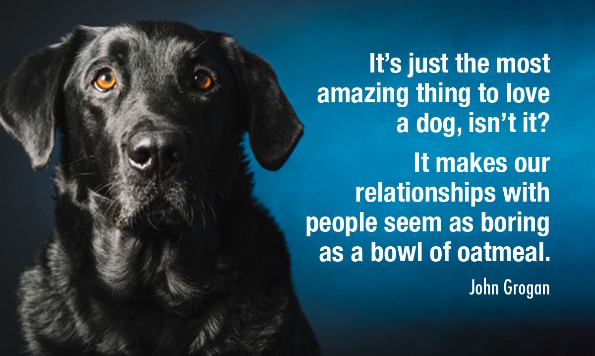 “It’s just the most amazing thing to love a dog, isn’t it? It makes our relationships with people seem as boring as a bowl of oatmeal.” –  John Grogan, Journalist.  #dogs #JohnGrogan tlccotswolds.co.uk