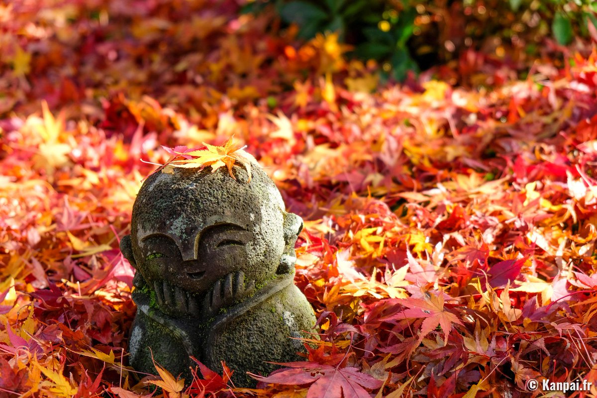 KanpaiFR's tweet photo. 🍁 Guide de visite et photos du magnifique temple zen Enko-ji, sur les hauteurs de Kyoto ➡️ https://t.co/aaBASaHWCP

[Hier sur Kanpai]

#kyoto #momiji #koyo #enkoji https://t.co/EfSIl2EmNJ