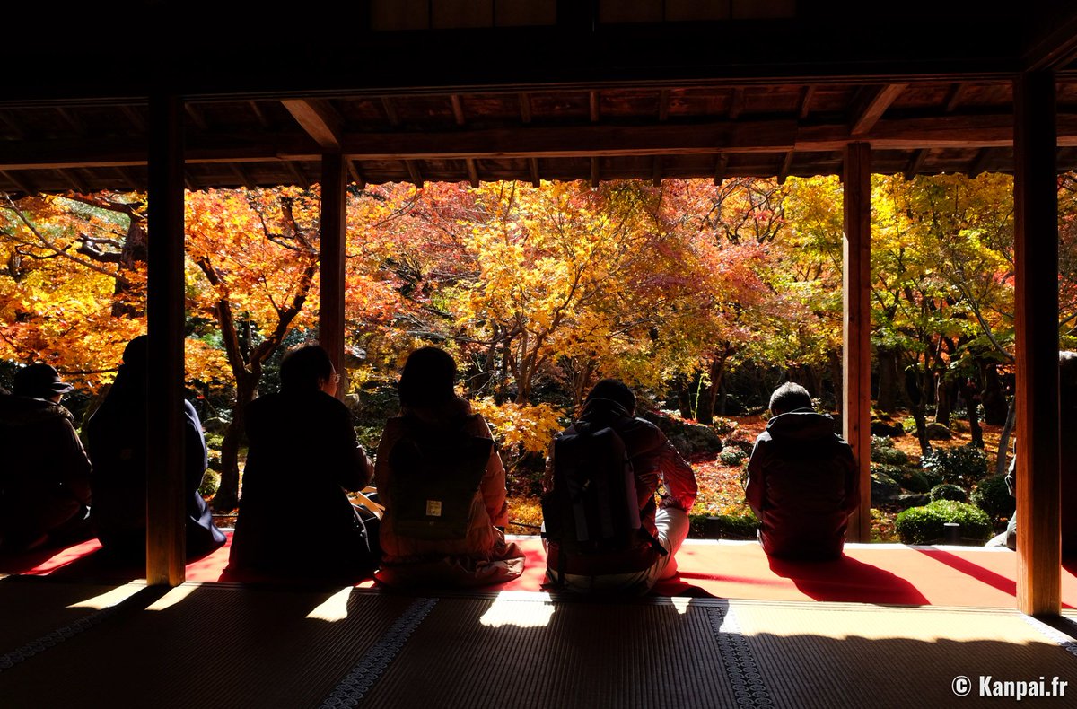 KanpaiFR's tweet photo. 🍁 Guide de visite et photos du magnifique temple zen Enko-ji, sur les hauteurs de Kyoto ➡️ https://t.co/aaBASaHWCP

[Hier sur Kanpai]

#kyoto #momiji #koyo #enkoji https://t.co/EfSIl2EmNJ