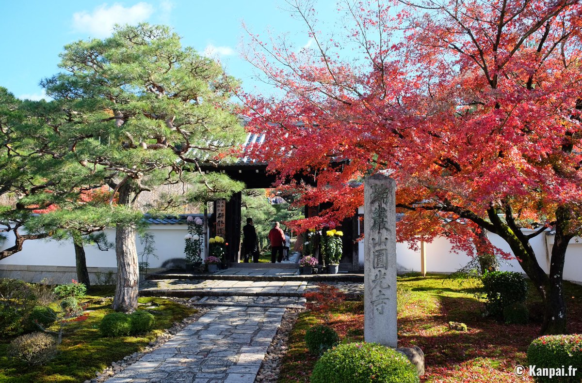 KanpaiFR's tweet photo. 🍁 Guide de visite et photos du magnifique temple zen Enko-ji, sur les hauteurs de Kyoto ➡️ https://t.co/aaBASaHWCP

[Hier sur Kanpai]

#kyoto #momiji #koyo #enkoji https://t.co/EfSIl2EmNJ