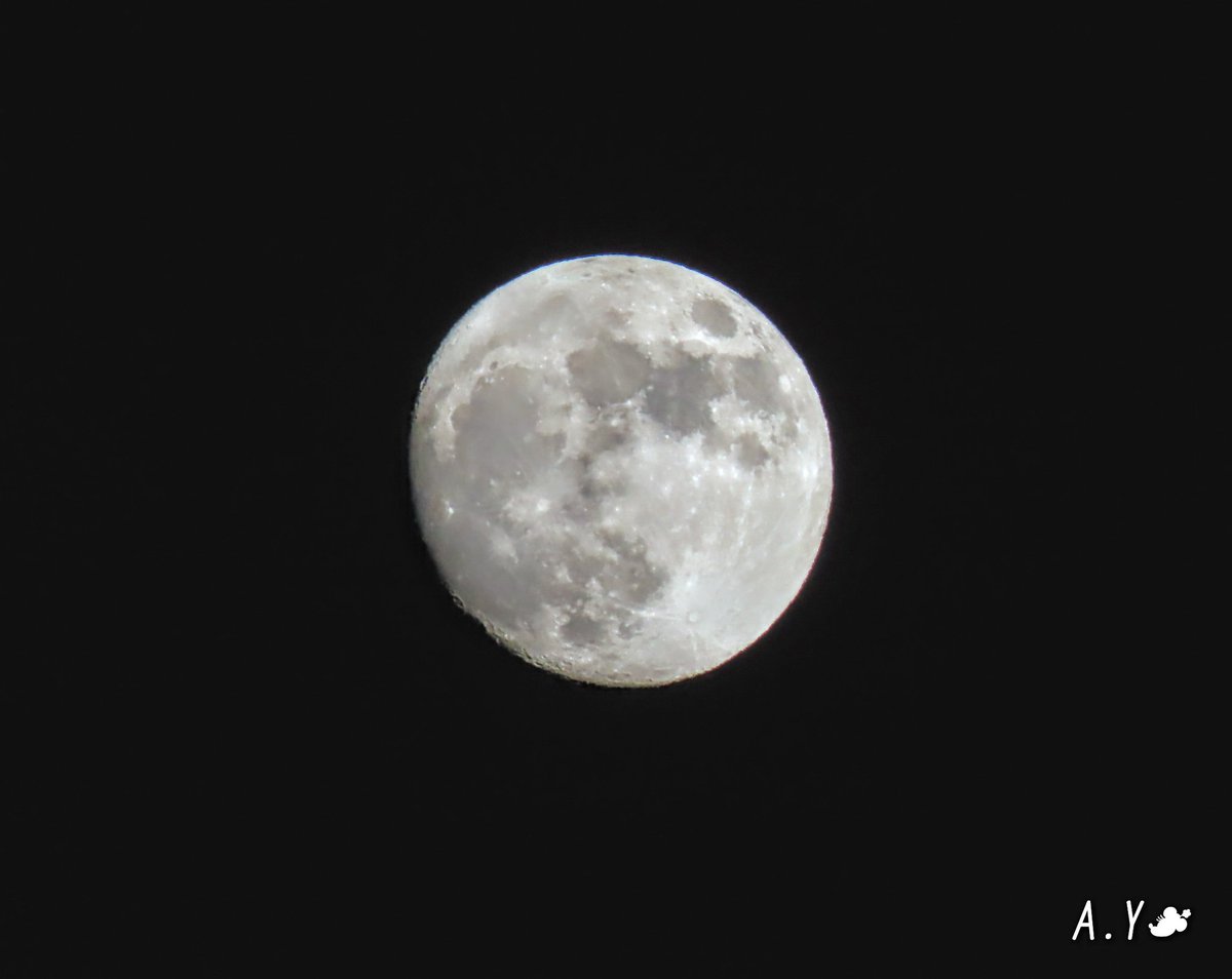 yumeasutw's tweet photo. 今宵も月が綺麗です✨🌔✨
お疲れ様です🏁
良く晴れた東の空に
#小望月 (17:35/月齢13.1)が
輝いています✨
南東の空には、🌟 #土星 と🌟 #木星 が輝いています✨
#月 #moon
#ガリレオ衛星
#夜空 #宙の名前
#雲の教室
#ブルーモーメント
#ブルーアワー
#a2020 #a1128 #a202011 #a20201114 https://t.co/6bBaHY1TS8