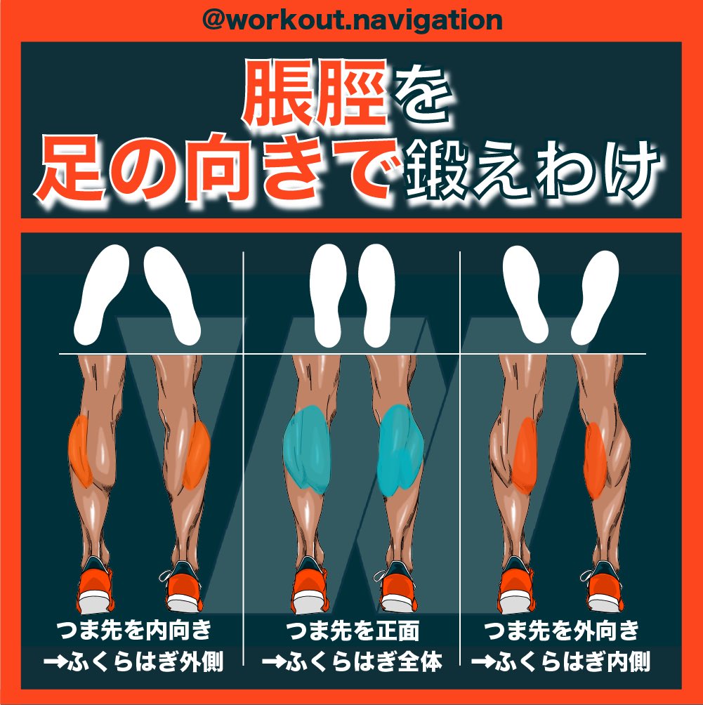 金原俊輝 Workout Navigation パーソナルジム経営者 ふくらはぎをを鍛える方法 脹脛の筋肉は 足の向きで鍛え分ける事ができます 自分に足りないところや 弛んでいるところを見つけ 実施してみてください 引き締め 筋トレ 脹脛 カーフ