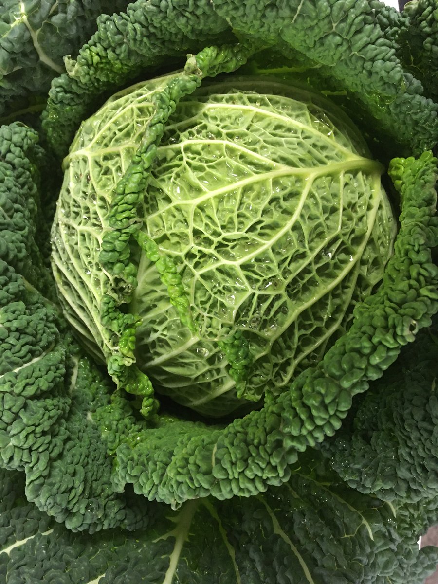 Rowlands & co ltd tweet media