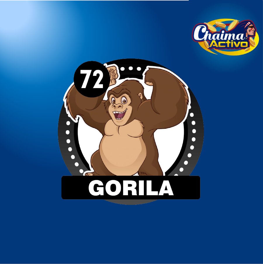 chaimaactivo's tweet image. Chaima Activo
28/11/2020
11:00 AM
72 - GORILA
#28Nov #PagamosmasChaima Activo