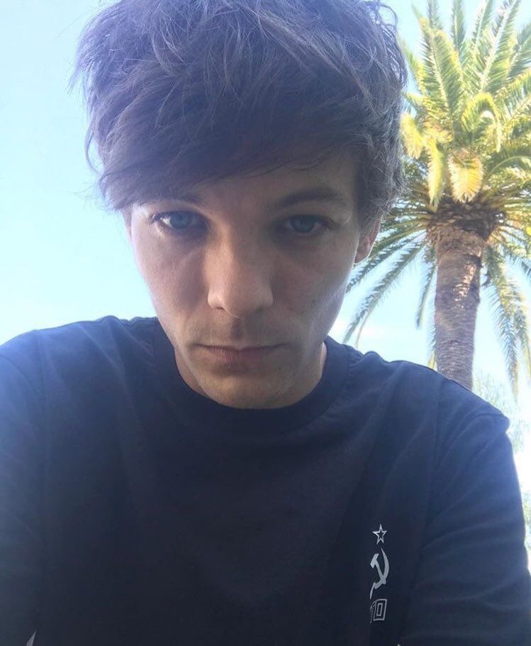 louis tomlinson selfies; a thread ༉‧₊˚✧