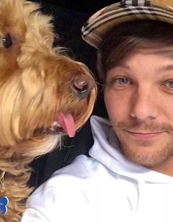 louis tomlinson selfies; a thread ༉‧₊˚✧