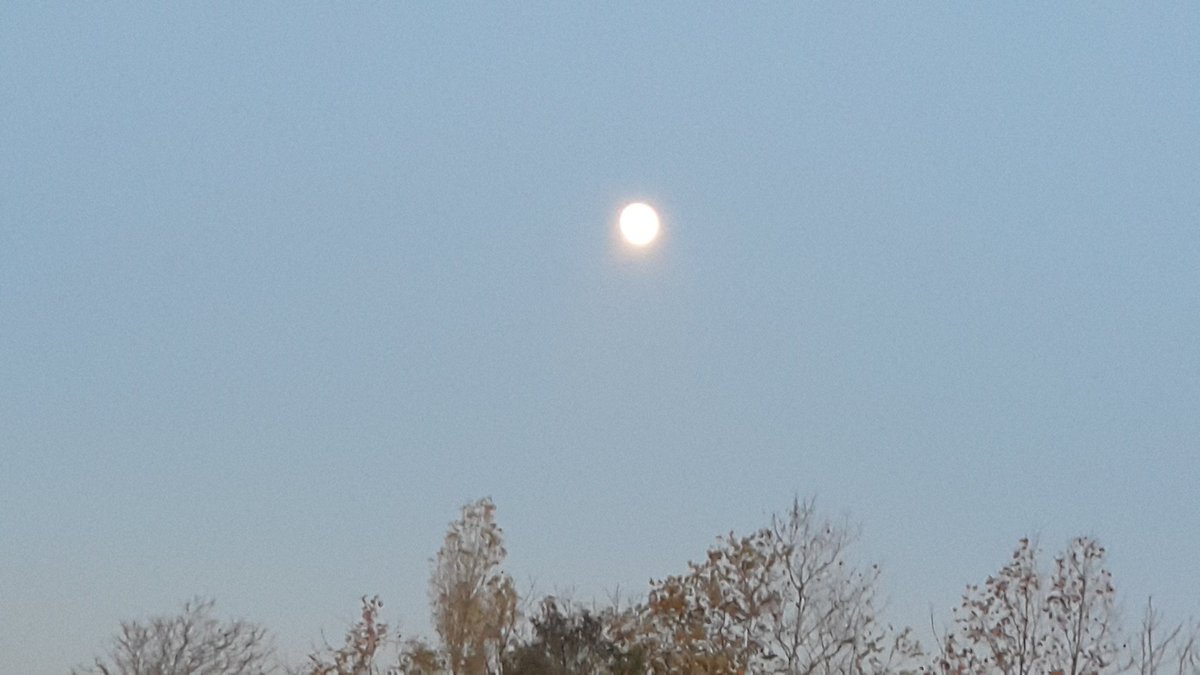 GorNevin's tweet photo. "Moonlight Reflections" Vangelis. Istanbul,mavi gökte ay düşünceleri, sonbaharın son geceleri. #moonlightreflections #vangelis #ay #istanbul #kasım #sonbahar https://t.co/mVwdAmUInj