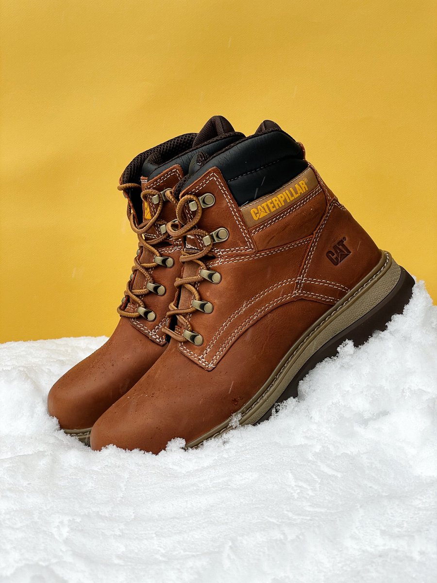 cat shoes official website