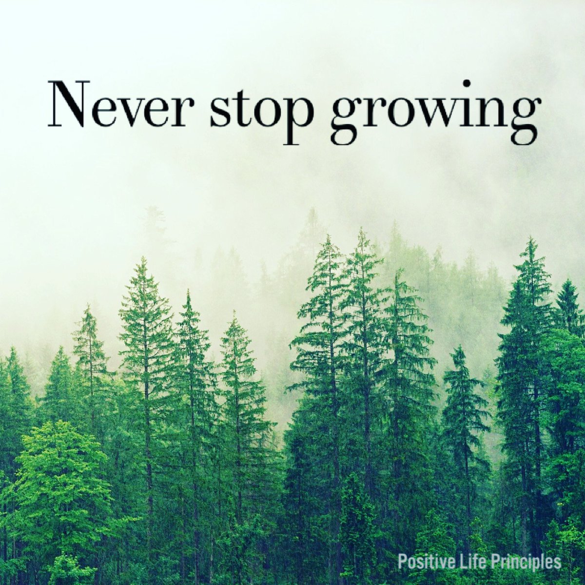 Karolladd's tweet photo. During the holidays we can continue to grow deeper in our love for Christ and our care for others. Every day offers the opportunity to learn new things &amp; develop strength. #positive https://t.co/YijFKmiU6l