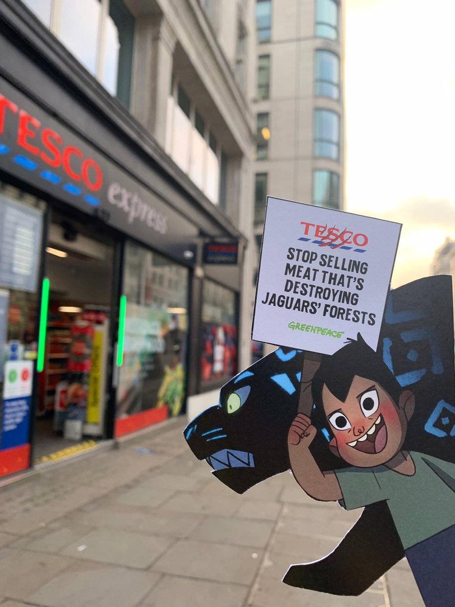 juliafarres8's tweet photo. Greenpeace is calling on @Tesco #125Strand CEO Ken Murphy to take urgent action to stop fueling the destruction of forests like the Amazon 🔥🌲🔥 https://t.co/tT5YY8PYqe